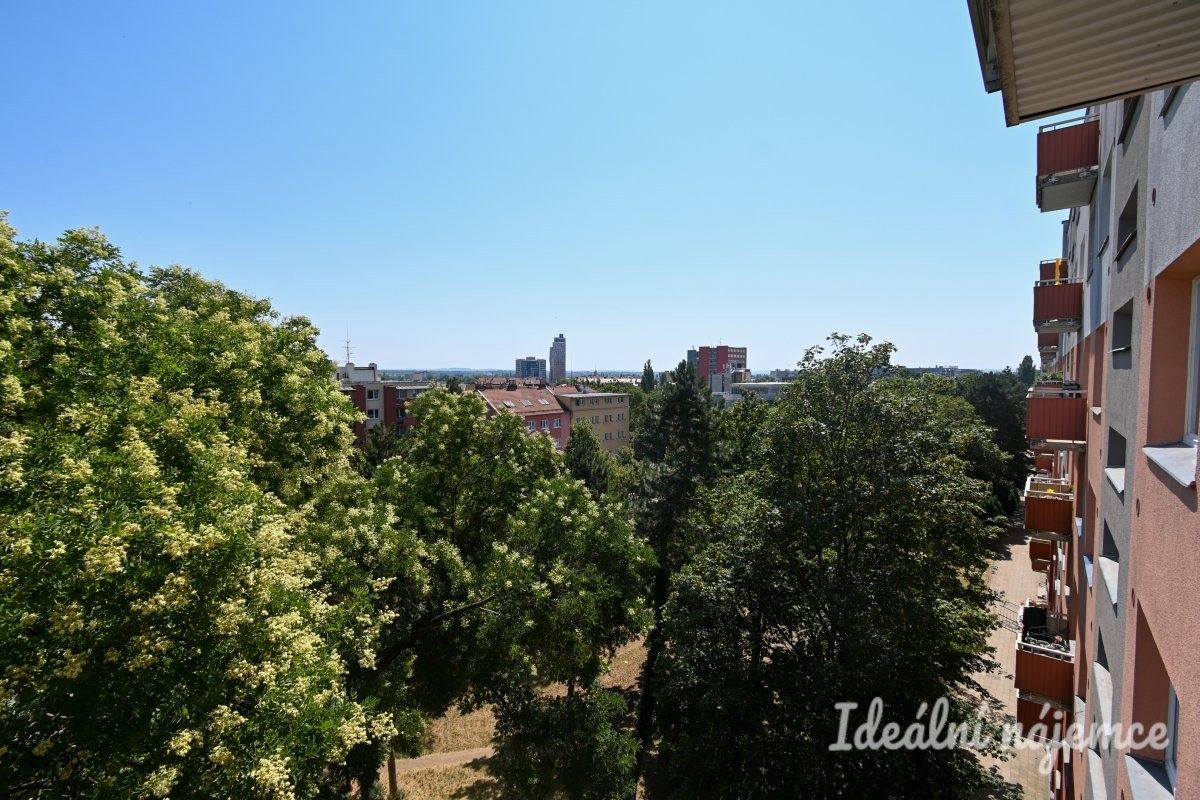 Pronájem bytu 2+1 55 m² - foto 13