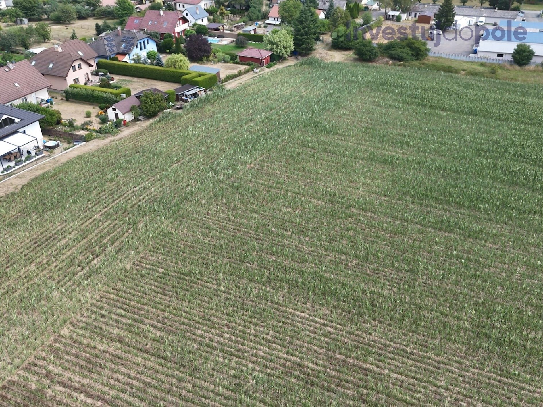 Prodej pozemku 71903 m² - foto 6